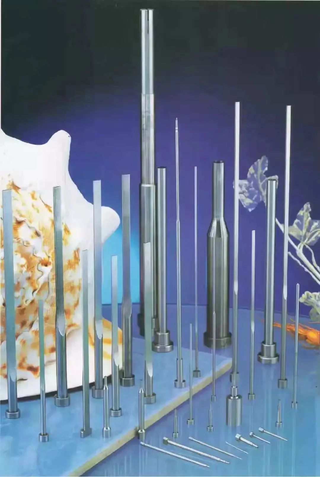 202203212036288573.jpg 202203212036288573.jpg