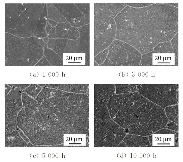 202404191502255133.jpg 202404191502255133.jpg