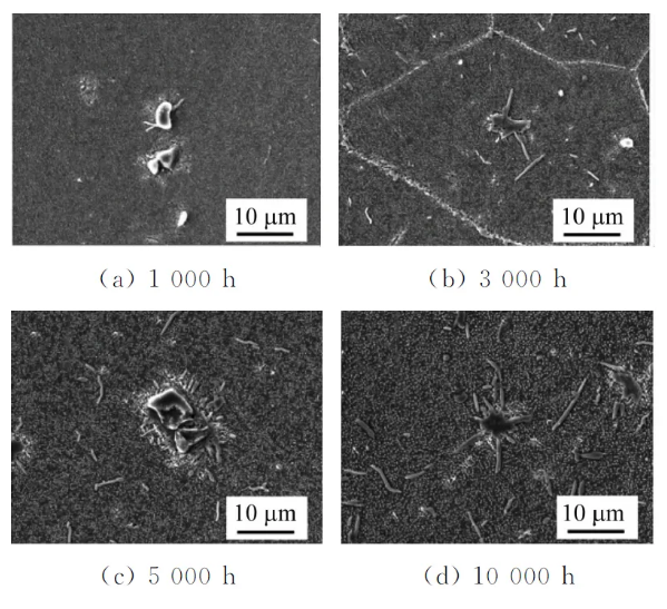 202404191503054982.jpg 202404191503054982.jpg