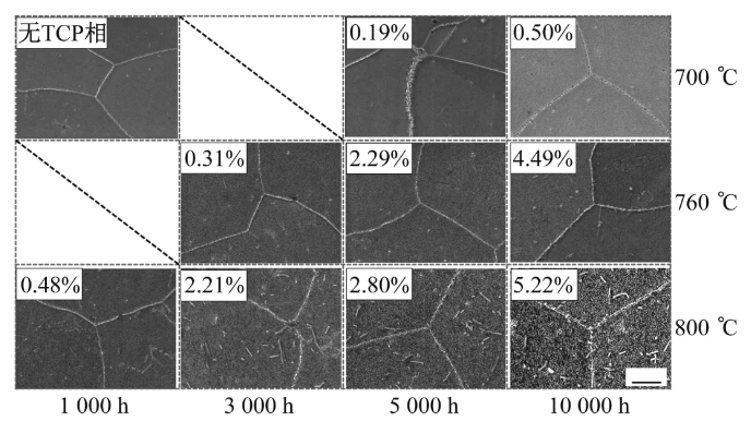 202404191504535391.jpg 202404191504535391.jpg