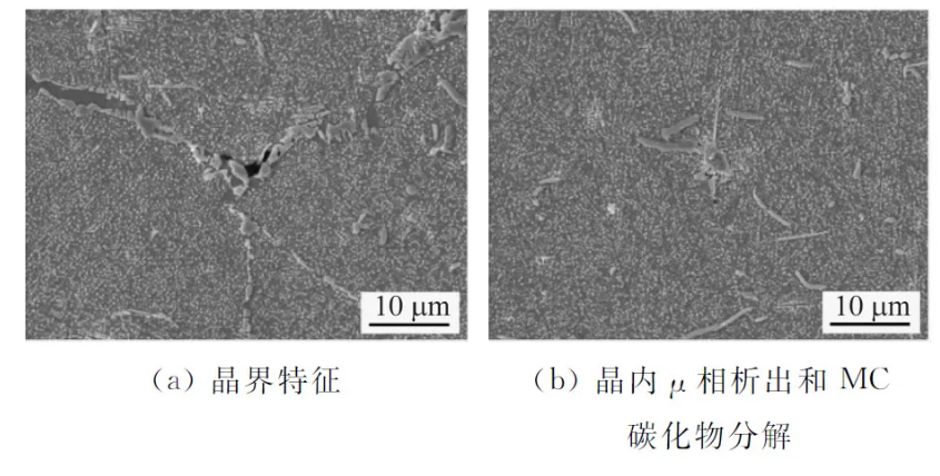 202404191506137270.jpg 202404191506137270.jpg