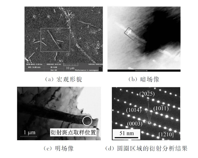 202404191506483501.jpg 202404191506483501.jpg