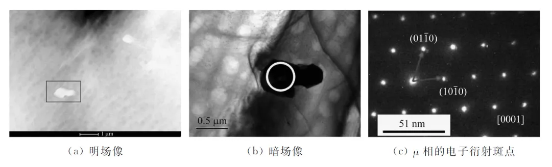 202404191509255926.jpg 202404191509255926.jpg