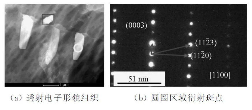 202404191510436755.jpg 202404191510436755.jpg