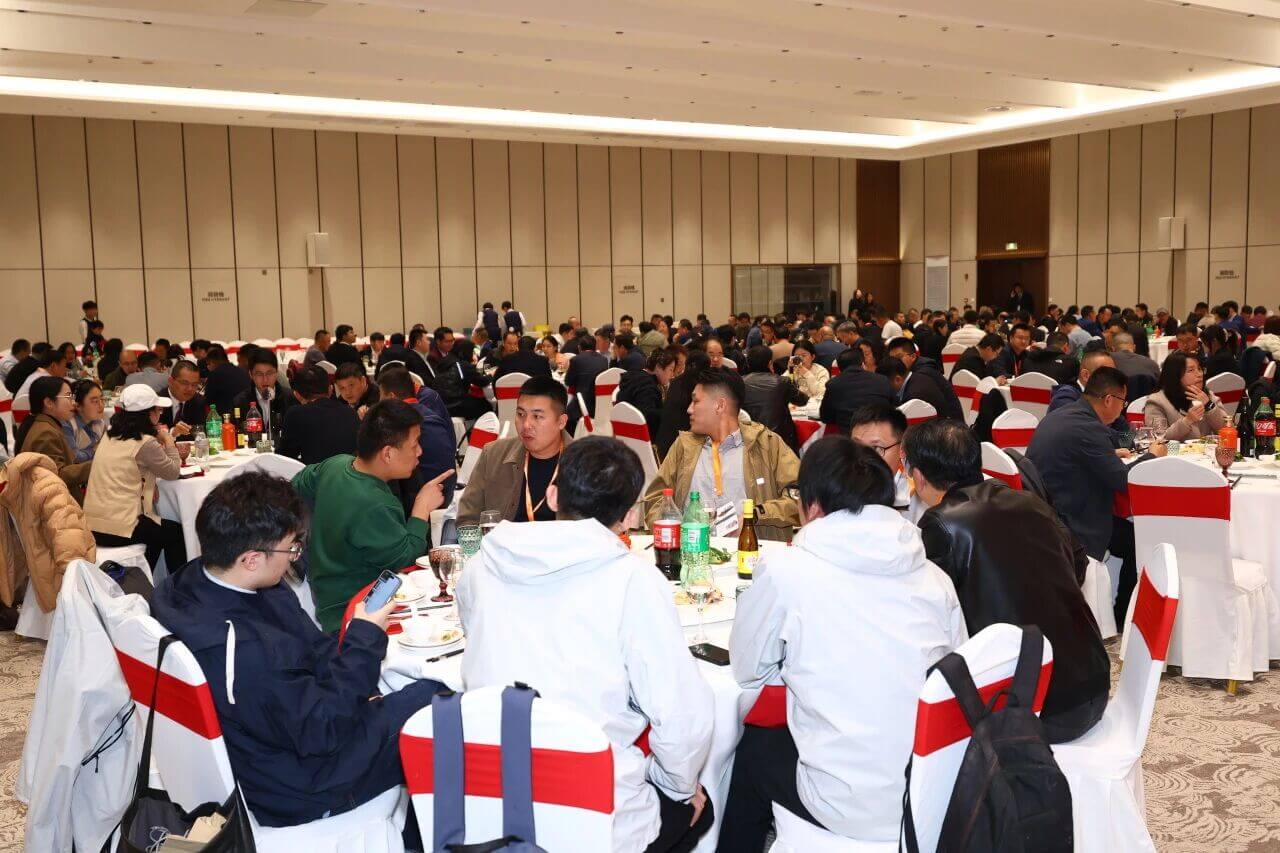 202602261113459674.jpg 202602261113459674.jpg