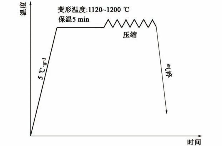 202605151627305956.jpg